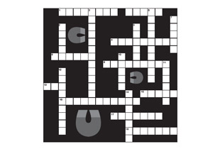 Crossword Puzzle