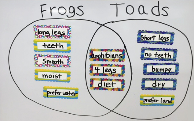 Who knew there were so many differences between frogs and toads? This is FUN!