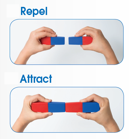 What Are Magnetic Poles? How Can You Tell Which Pole is Which?