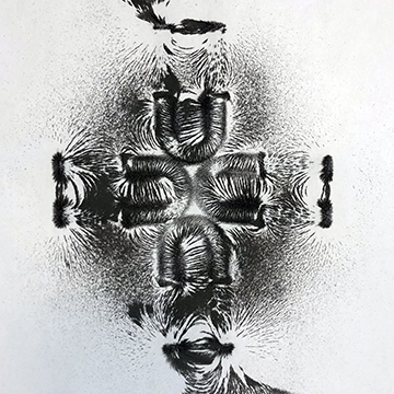 horseshoe magnets under filings